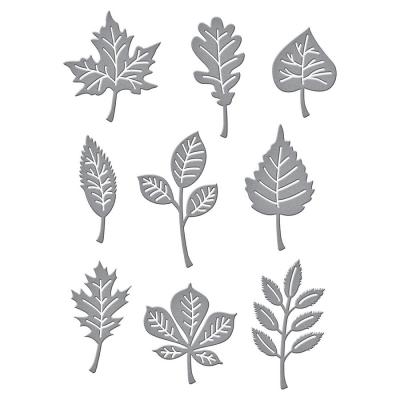 Spellbinders Etched Dies - Autumn Leaves