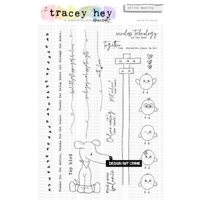 Tracey Hey Stempel - Online Meeting