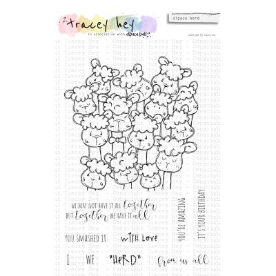 Tracey Hey Stempel - Alpaca Herd