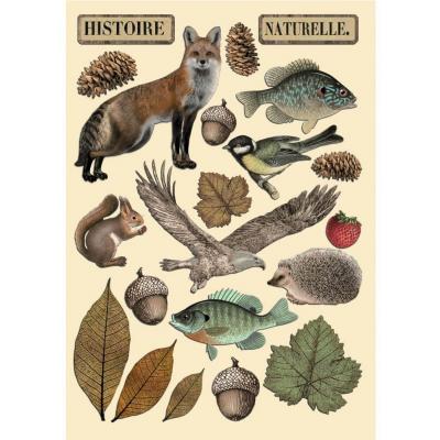 Stamperia Forest - Histoire Naturelle